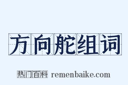 方向舵组词是什么意思的图片